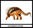 /album/photos/acantopholis-jpg1/