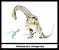 /album/photos/aeolosaurus-jpg/